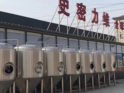 清江浦精酿啤酒设备厂—如何判断精酿啤酒设备的密封件需要更换？